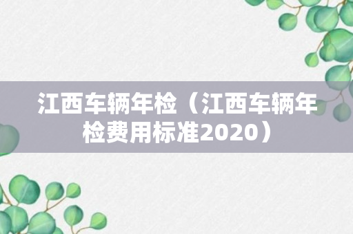 江西车辆年检（江西车辆年检费用标准2020）