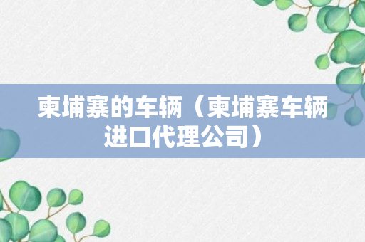 柬埔寨的车辆（柬埔寨车辆进口代理公司）