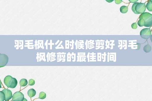 羽毛枫什么时候修剪好 羽毛枫修剪的最佳时间