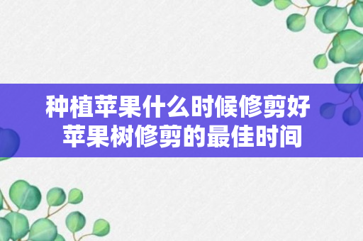 种植苹果什么时候修剪好 苹果树修剪的最佳时间