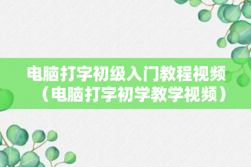 电脑打字初级入门教程视频（电脑打字初学教学视频）