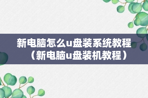 新电脑怎么u盘装系统教程（新电脑u盘装机教程）