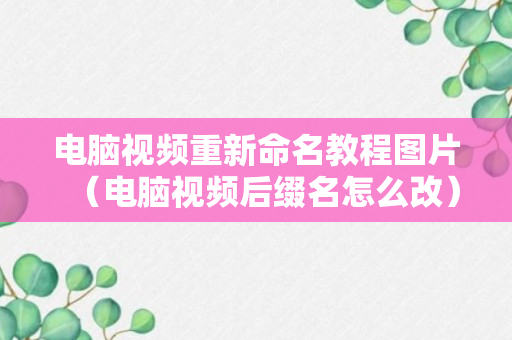 电脑视频重新命名教程图片（电脑视频后缀名怎么改）