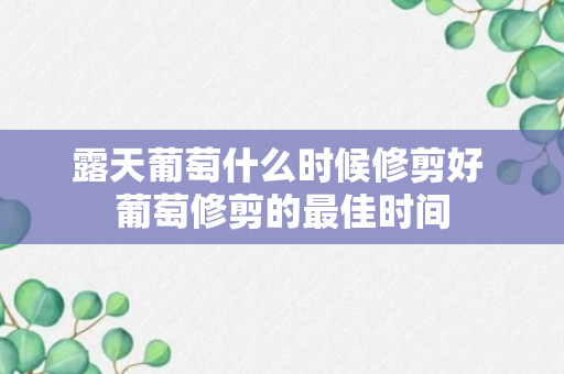 露天葡萄什么时候修剪好 葡萄修剪的最佳时间