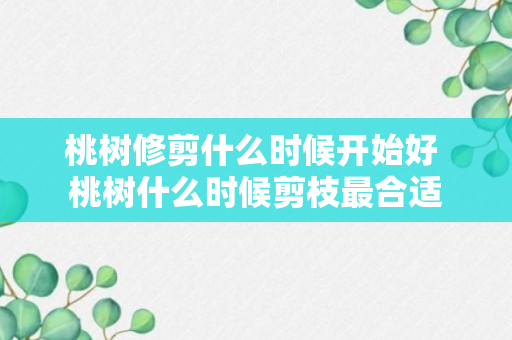 桃树修剪什么时候开始好 桃树什么时候剪枝最合适