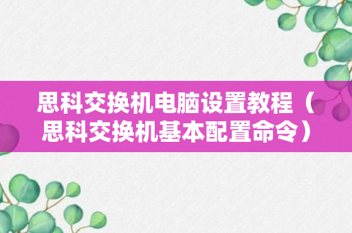 思科交换机电脑设置教程（思科交换机基本配置命令）