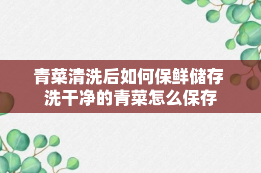 青菜清洗后如何保鲜储存 洗干净的青菜怎么保存