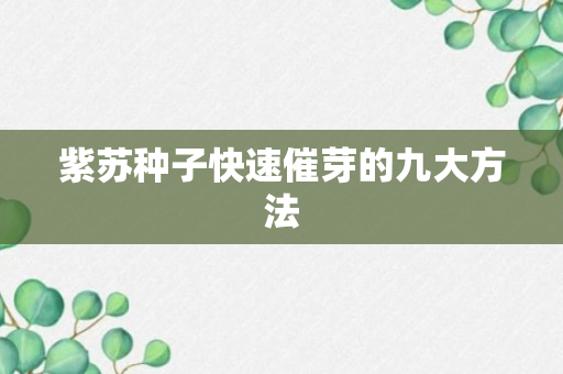 紫苏种子快速催芽的九大方法