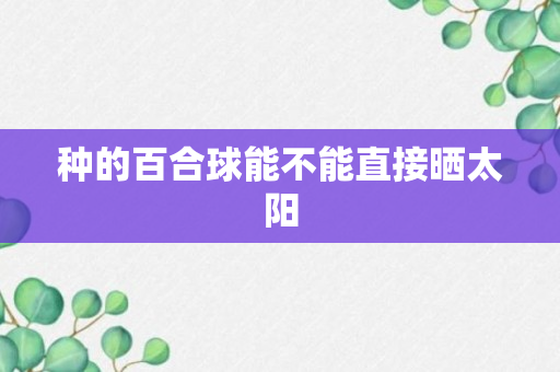 种的百合球能不能直接晒太阳