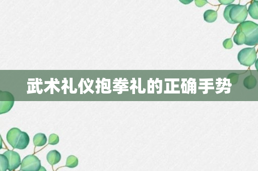 武术礼仪抱拳礼的正确手势