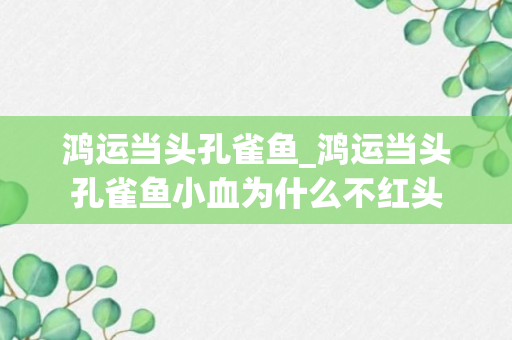 鸿运当头孔雀鱼_鸿运当头孔雀鱼小血为什么不红头