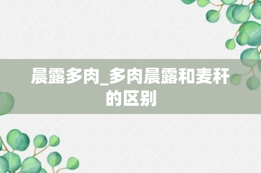 晨露多肉_多肉晨露和麦秆的区别