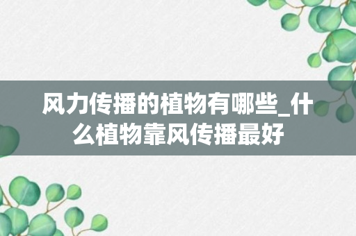 风力传播的植物有哪些_什么植物靠风传播最好