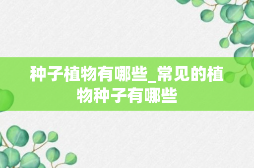 种子植物有哪些_常见的植物种子有哪些