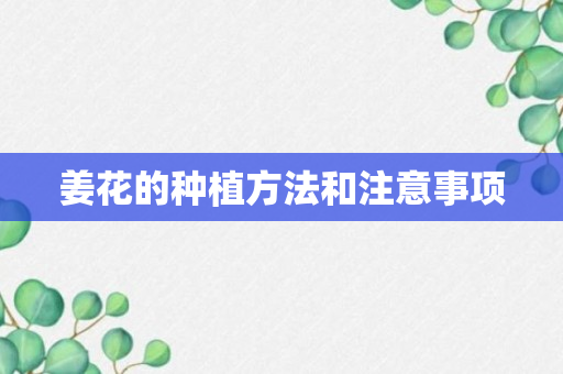 姜花的种植方法和注意事项