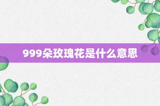 999朵玫瑰花是什么意思