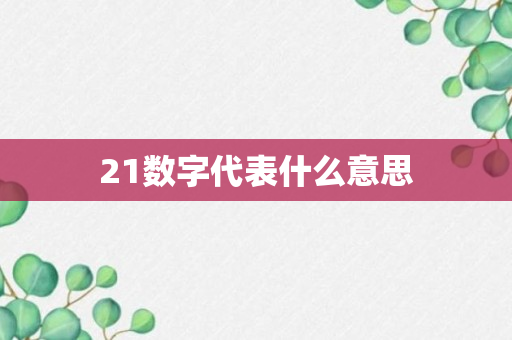 21数字代表什么意思