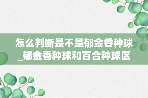 怎么判断是不是郁金香种球_郁金香种球和百合种球区分