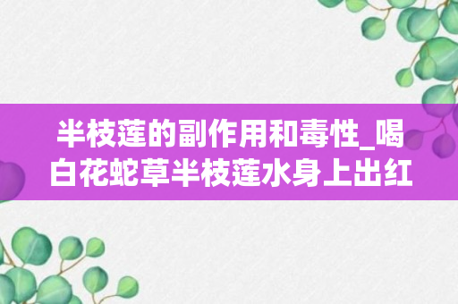 半枝莲的副作用和毒性_喝白花蛇草半枝莲水身上出红疙瘩是怎么回事