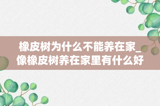 橡皮树为什么不能养在家_像橡皮树养在家里有什么好处和坏处