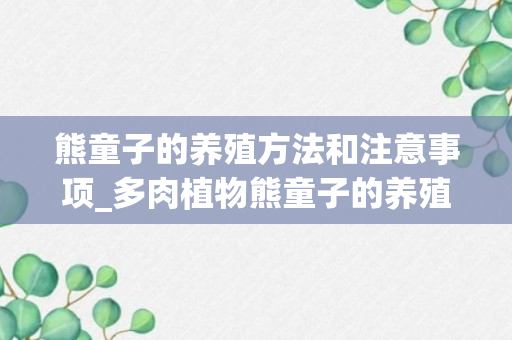 熊童子的养殖方法和注意事项_多肉植物熊童子的养殖方法和注意事项