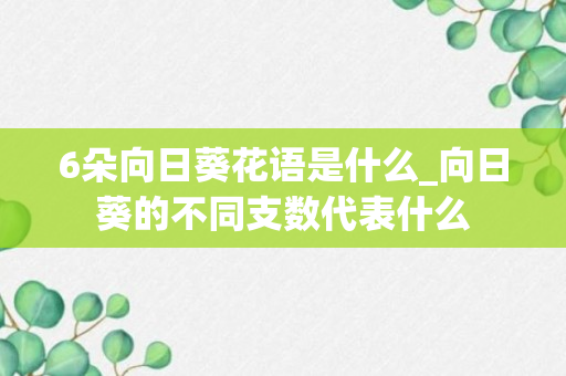 6朵向日葵花语是什么_向日葵的不同支数代表什么