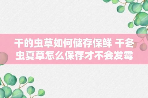 干的虫草如何储存保鲜 干冬虫夏草怎么保存才不会发霉