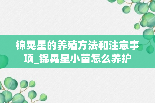 锦晃星的养殖方法和注意事项_锦晃星小苗怎么养护