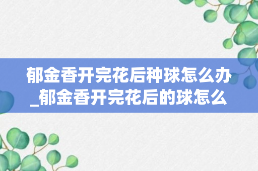 郁金香开完花后种球怎么办_郁金香开完花后的球怎么处理