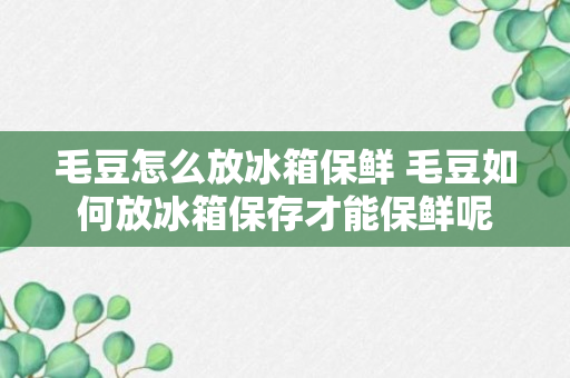 毛豆怎么放冰箱保鲜 毛豆如何放冰箱保存才能保鲜呢