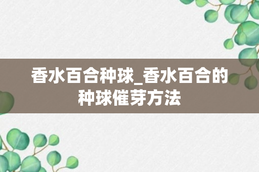 香水百合种球_香水百合的种球催芽方法