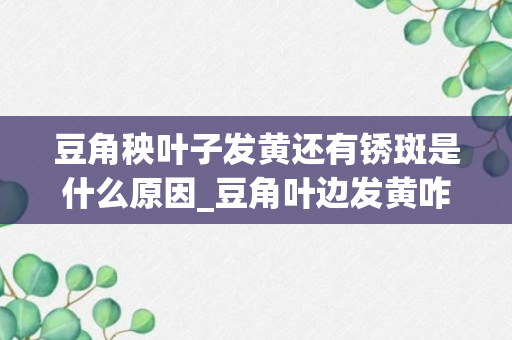 豆角秧叶子发黄还有锈斑是什么原因_豆角叶边发黄咋回事