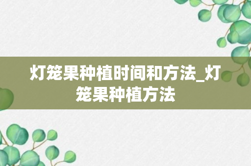 灯笼果种植时间和方法_灯笼果种植方法