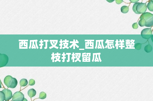 西瓜打叉技术_西瓜怎样整枝打杈留瓜