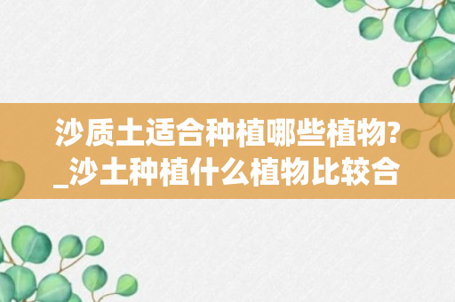 沙质土适合种植哪些植物?_沙土种植什么植物比较合适