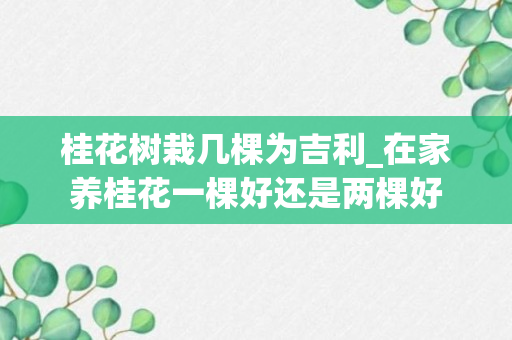 桂花树栽几棵为吉利_在家养桂花一棵好还是两棵好