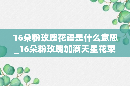 16朵粉玫瑰花语是什么意思_16朵粉玫瑰加满天星花束的意思是什么