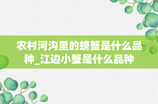 农村河沟里的螃蟹是什么品种_江边小蟹是什么品种