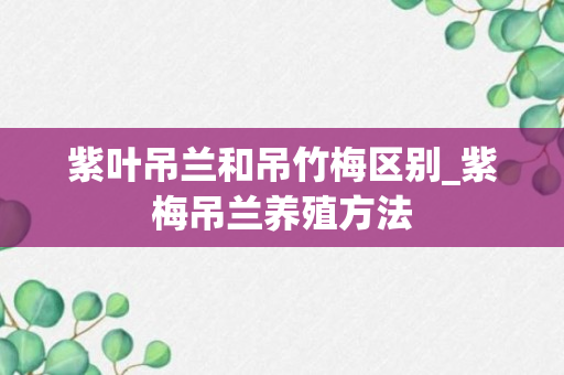 紫叶吊兰和吊竹梅区别_紫梅吊兰养殖方法