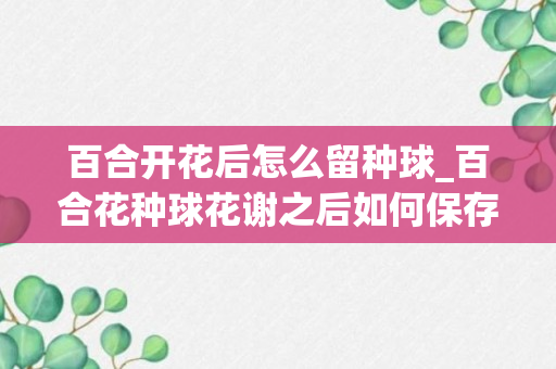 百合开花后怎么留种球_百合花种球花谢之后如何保存