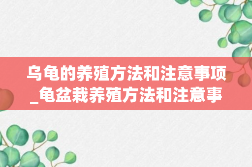 乌龟的养殖方法和注意事项_龟盆栽养殖方法和注意事项