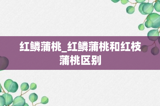 红鳞蒲桃_红鳞蒲桃和红枝蒲桃区别