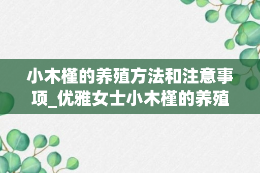 小木槿的养殖方法和注意事项_优雅女士小木槿的养殖方法和注意事项