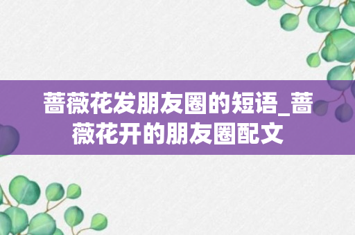 蔷薇花发朋友圈的短语_蔷薇花开的朋友圈配文