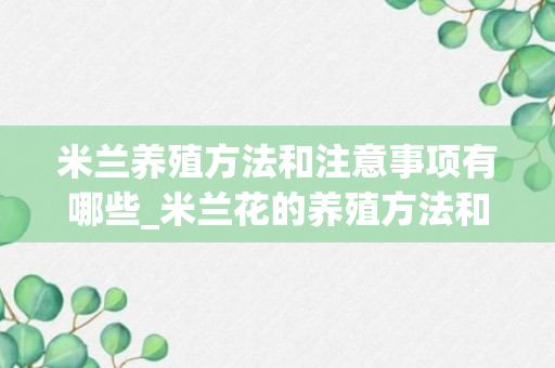 米兰养殖方法和注意事项有哪些_米兰花的养殖方法和注意事项有哪些