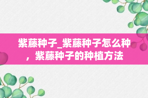 紫藤种子_紫藤种子怎么种，紫藤种子的种植方法