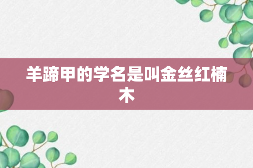 羊蹄甲的学名是叫金丝红楠木