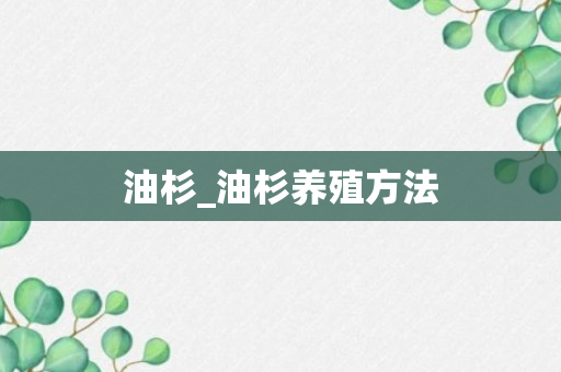 油杉_油杉养殖方法