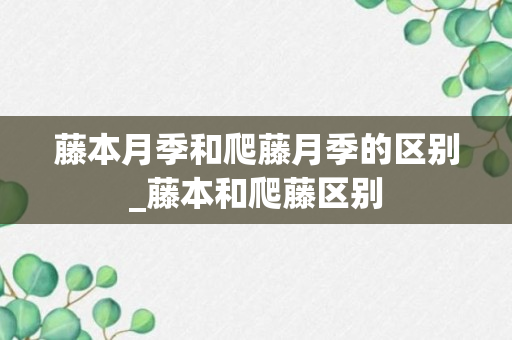 藤本月季和爬藤月季的区别_藤本和爬藤区别