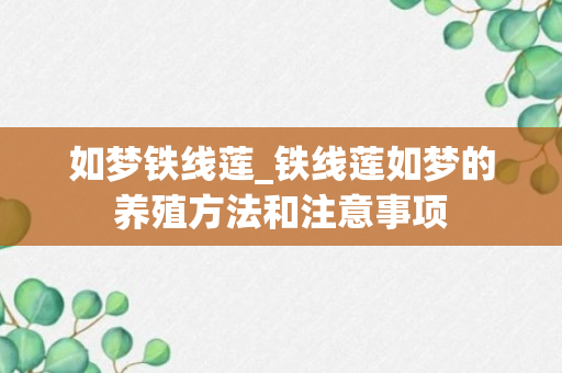 如梦铁线莲_铁线莲如梦的养殖方法和注意事项